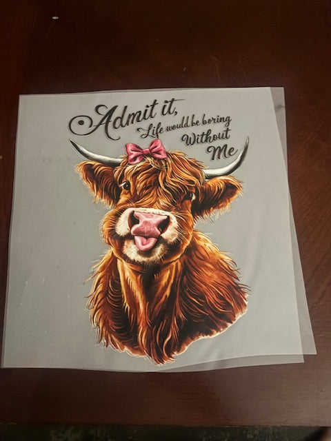 Admit it Hyland Tee